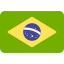 Brazil Office Logo